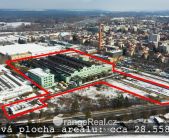 C0062.00_00_10_34.Still008