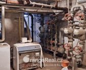 20250406_115136_resized